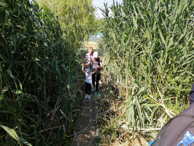 IMG 20190614 162142