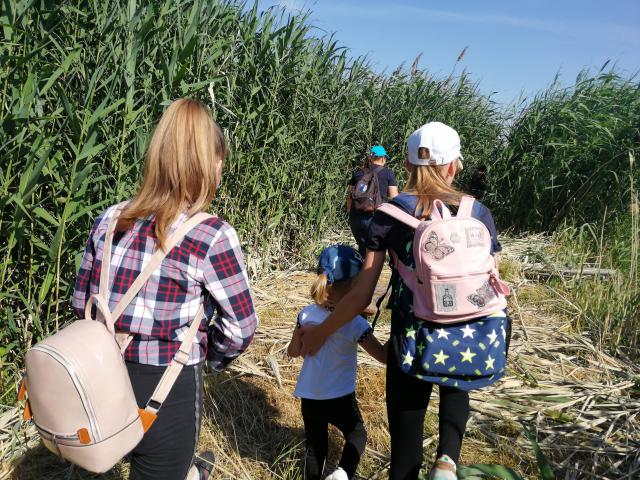 IMG 20190614 162153