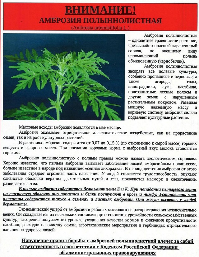foto 2025 07 16 15 43 001