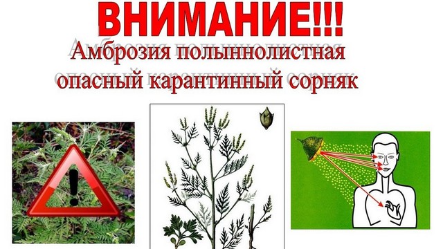 foto 2025 07 16 15 43 002