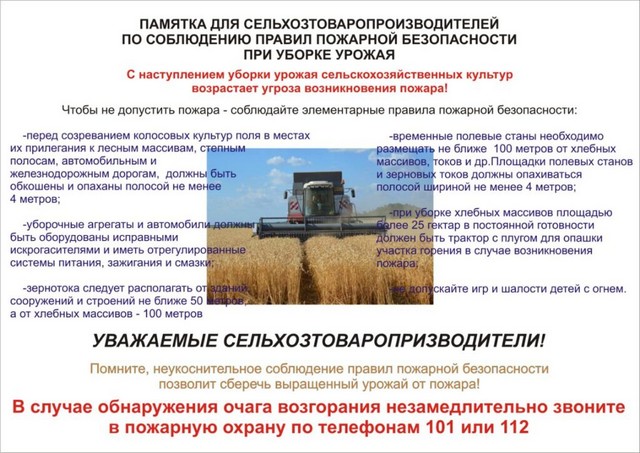 foto 2025 07 16 16 15 003