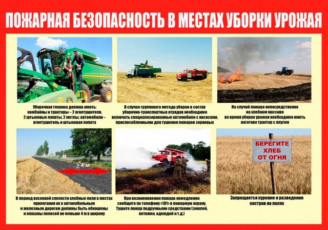 foto 2025 07 16 16 15 005