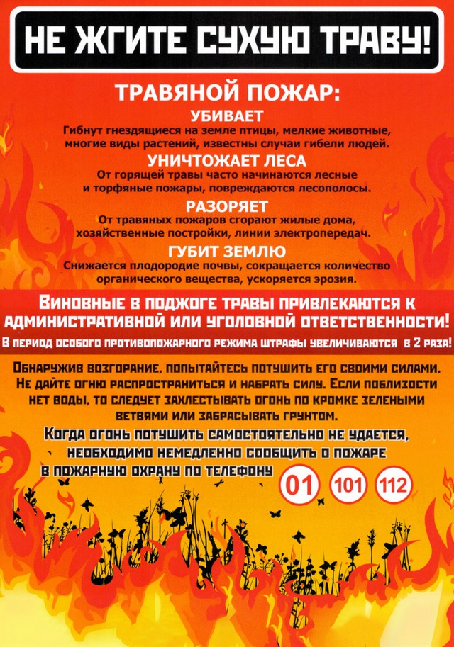 foto 2025 09 03 15 54 003