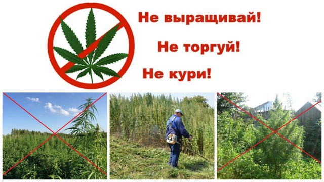 foto 2025 09 05 10 54 001