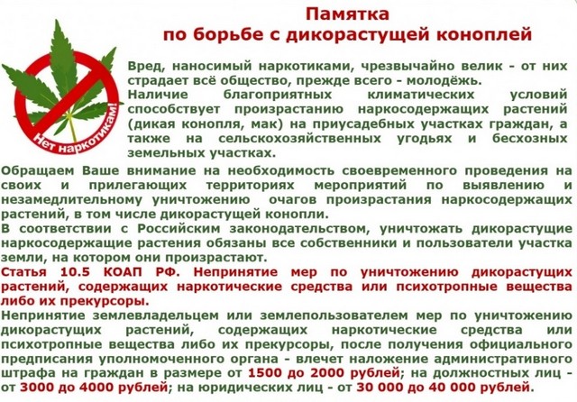 foto 2025 09 05 10 54 002