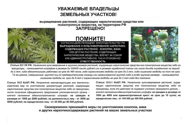 foto 2025 09 05 10 54 003